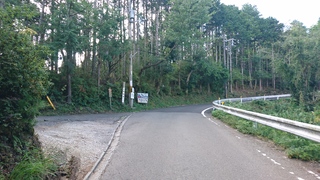 長坂道への分岐