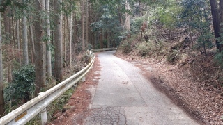 忍頂寺への林道