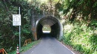 トンネルの分岐